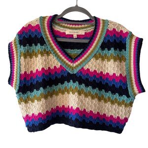 Blue Velvet Striped Chunky Knit Cropped Sweater Small